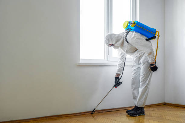 Reliable East Northport, NY Pest Control Solutions